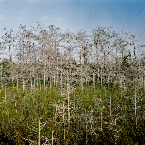 USA, Florida, Miami