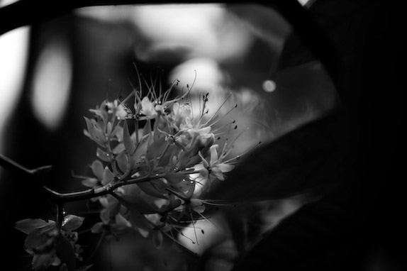 USA, Florida, Fisher Island,