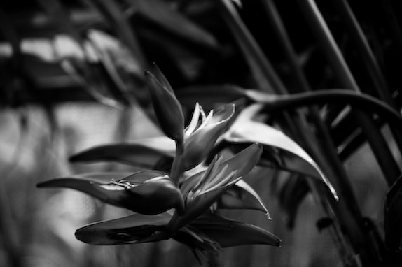 USA, Florida, Fisher Island,