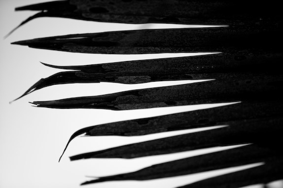 USA, Florida, Fisher Island,