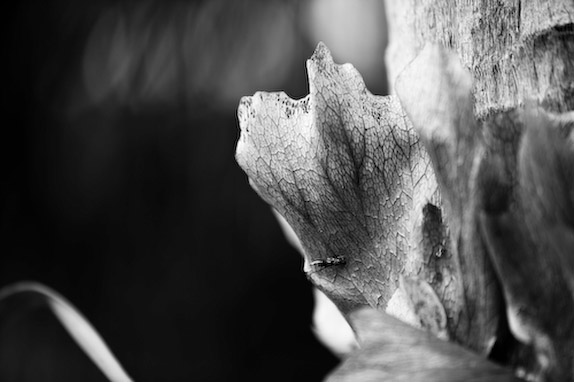 USA, Florida, Fisher Island,