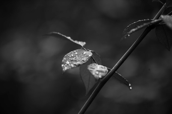 USA, Florida, Fisher Island,