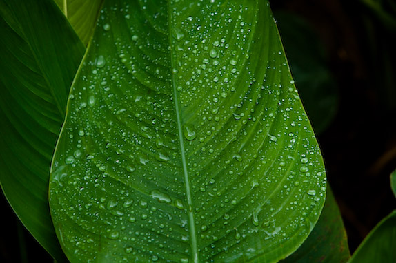 USA, Florida, Fisher Island,