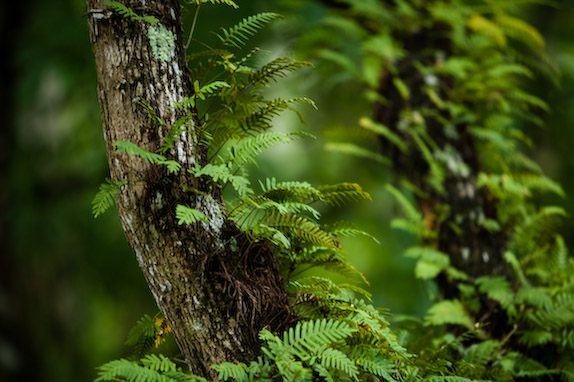 USA, Florida, Fisher Island,