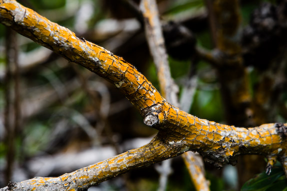 USA, Florida, Fisher Island,