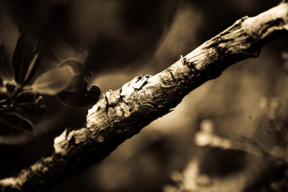 USA, Florida, Fisher Island,