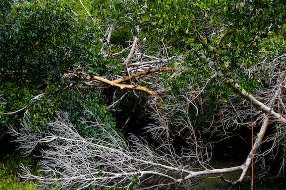 USA, Florida, Fisher Island,