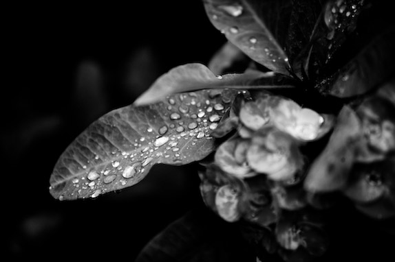 USA, Florida, Fisher Island,